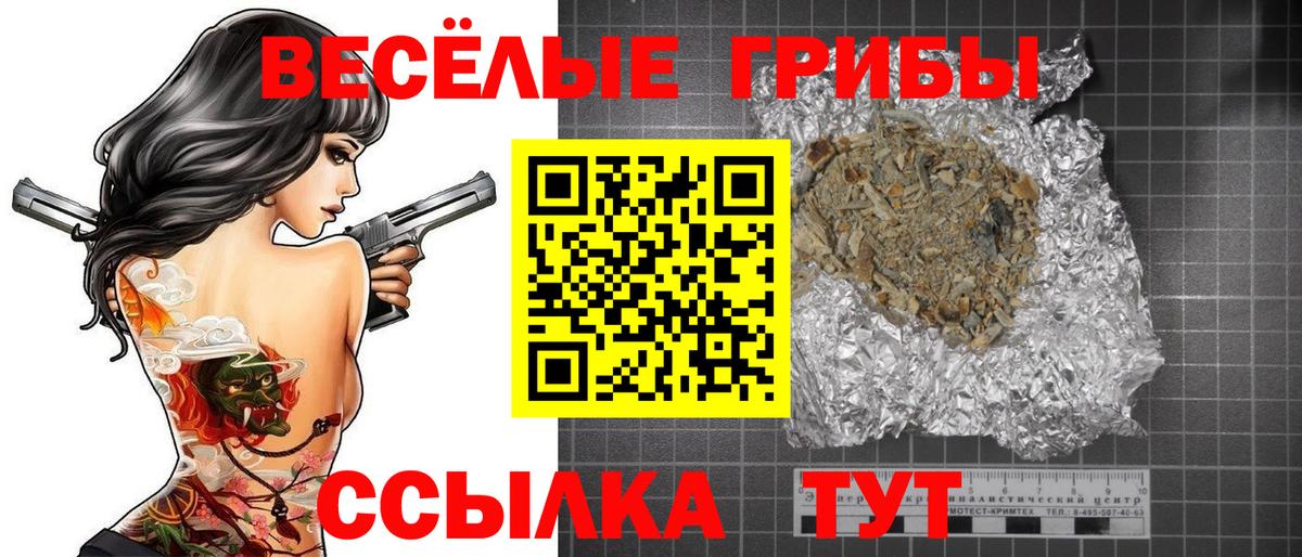 Строитель  Галлюциногенные грибы прущие грибы  Вход с VPN 